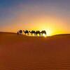Lagoon Safaris