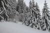 Chalet Familial Les Girolles Aux Portes D'anz�re