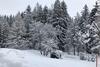 Chalet Familial Les Girolles Aux Portes D'anz�re