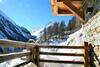 Chalet Ourson Brun By Mrs Miggins