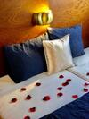 Homeboat-bateau H�tel