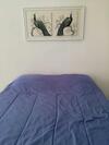 Apartamento Costa Papudo