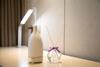 Lavande Hotel Changji Changning Road