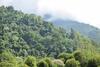 Hospedaje Los Pinos, Caba�a En Minca