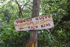 Hospedaje Los Pinos, Caba�a En Minca