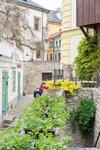 Hostal Penzion U Hr�dku
