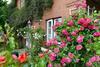 Apartamento Holiday Flat Oevenum - Dns10102f-p