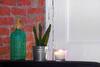 Apartamento Casa Tortilla Sant Antoni