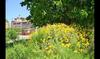 Villa In La Bisbal Sleeps 4 With Pool