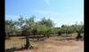 El Perello Villa Sleeps 12 With Pool