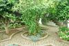 Agroturismo Quinta Dos Figos