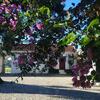 Herdade Da Negrita - Agroturismo
