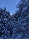 Bed & Breakfast Le Refuge de L'isard