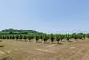 Agroturismo Cahuzac Chateau Sleeps 12 Pool Wifi