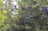 Holiday Home Barczewo Kaplityny VII
