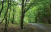 Holiday Home Barczewo Kaplityny VII