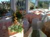 Hotel Vista Lago