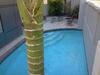 Aparthotel City Suites