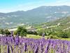 Holiday Home Le C�dre - Rsb100