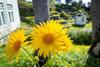 Albergue Lofoten Vandrerhjem Kabelv�g
