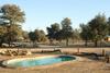 Torgos Safari Lodge