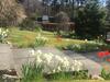 Bed & Breakfast Cranford Guest House