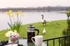 Keer Lodge - Pine Lake Resort