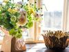 Bed & Breakfast Woolmarket House