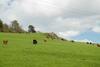 Barn Lodge With Hot Tub Near Cupar Fife