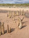 Lodge Blue Water Breaks - Dawlish Warren