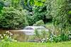 Kingfisher Lodge, South View Lodges, Exeter