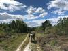 The Ancient Trails Company