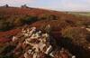 Mill End - Watermill Cottage Set In 30 Acres