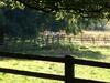 Bed & Breakfast Grange Farm B & B