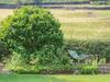 Ingledene