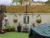 Billy's Cottage