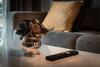 Apartamento Ideal House In Sittingbourne Parking -24-7 Checkin