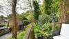 Lymeswood