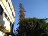 Hostal Takad Dream Hostel Agadir