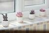 Brightleap Apartments - Hopton House