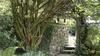 Bull Croft Cottage, Oxwich