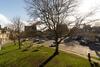 Little Elms