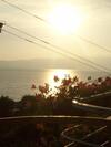 Apartamentos Vila Anastas