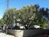 Apartment Ivan - 100 M From Marina