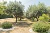 Apartments Ivica 1706