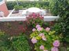 Apartments Zdrave - Free Parking