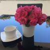 Apartment In Nin With Terrace, Air Condition, Wifi (4732-2)