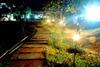 Hotel Chambal Wildlife S Lodge