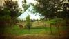Hotel Chambal Wildlife S Lodge