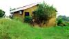 Hotel Chambal Wildlife S Lodge